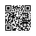 0393732 PISTON