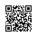 0401110000 Ball D=11mm