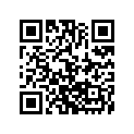 0402-333 PLUG,FILL
