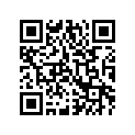 0402-429 SHIM,6.3X18X1.3