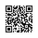 0402-432 SHIM,6.3X18X1.6