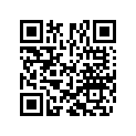 04100002 X-RING 26,57X3,53 FKM 80SH.