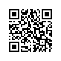 0413-300 BOTTLE,OVERFLOW