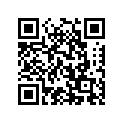 04211-11189 DOWELPIN