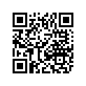 0423-178 WASHER,CRUSH