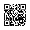 0423-558 WASHER,28X19X1