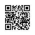 0432741 PISTON & RING