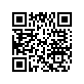 0439901 DECAL AY,SET