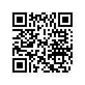 0446041 O-RING