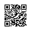 0446095 Nut, M24