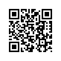 0446105 Washer