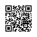 0446466 KEY
