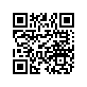 0450879 Washer-plain(10)
