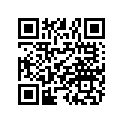 0453143 BLANK KEY