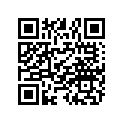0453153 WASHER