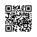 0453838 WASHER