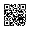 0454366 CAM CHAIN