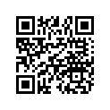 0454905 CHAIN LINK, MASTER, RZR 170