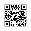 0455030 EFI RELAY