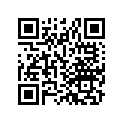 04700-768-E100 AUGERSKIDKIT