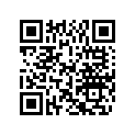 0513423 TERMINAL,SOCKET