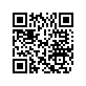 0553769 BUSHING