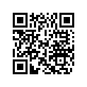 0554355 RIVET