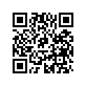 0585033 CONN&LEAD AY