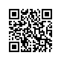 0604-809 O-RING