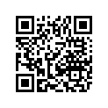 0609-790 NUT,ACORN-CENTER LOCK - 10-24
