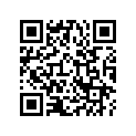 06115-ZY3-010 SSBY-11-06115-ZY3-305-GASKETKIT