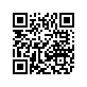 0623-110 WSHR,FLAT .192/.196X.875 X .065