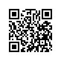 06233-767-305 AUGERSHAFTKIT