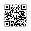 0625160031 Grooved Ball B. 16003 C4 J1