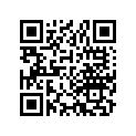 06430-428-003 Колодки тормозные задние