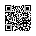 06751-VE2-L00 SSBY-11-06751-VE1-305-PULLEYKIT