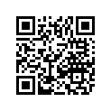 0703-295 SKI WELDMENT