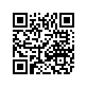 0703-984 SKI-WELDT-STEFFES 119