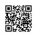 0763957 SSP V4 13.75X13