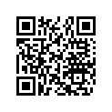 080039300 Entretoise *spacer