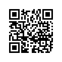 08211-12262 WASHER