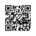 08211-16251 ШАЙБА СТОПОРНАЯ