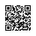 08211-17261 WASHER