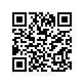 08211-25351 WASHERTHRUST
