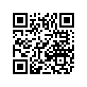 0823-383 KEY-1/4
