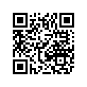 0828-028 SHIM, 25 x 34 x 1.10