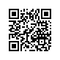 0829-039 KEY WAY ACG