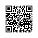 08322-21058 WASHER