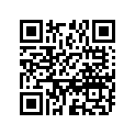 09160-08135 Washer (8.5x28x1.6) (