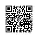 09160-10092 ワツシヤ(10X24X2.1)